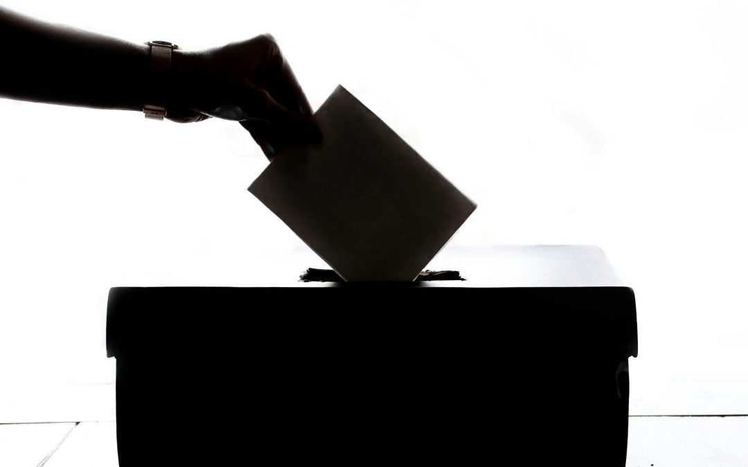 Vox populi – Demokrácia a szavazófülkén kívül