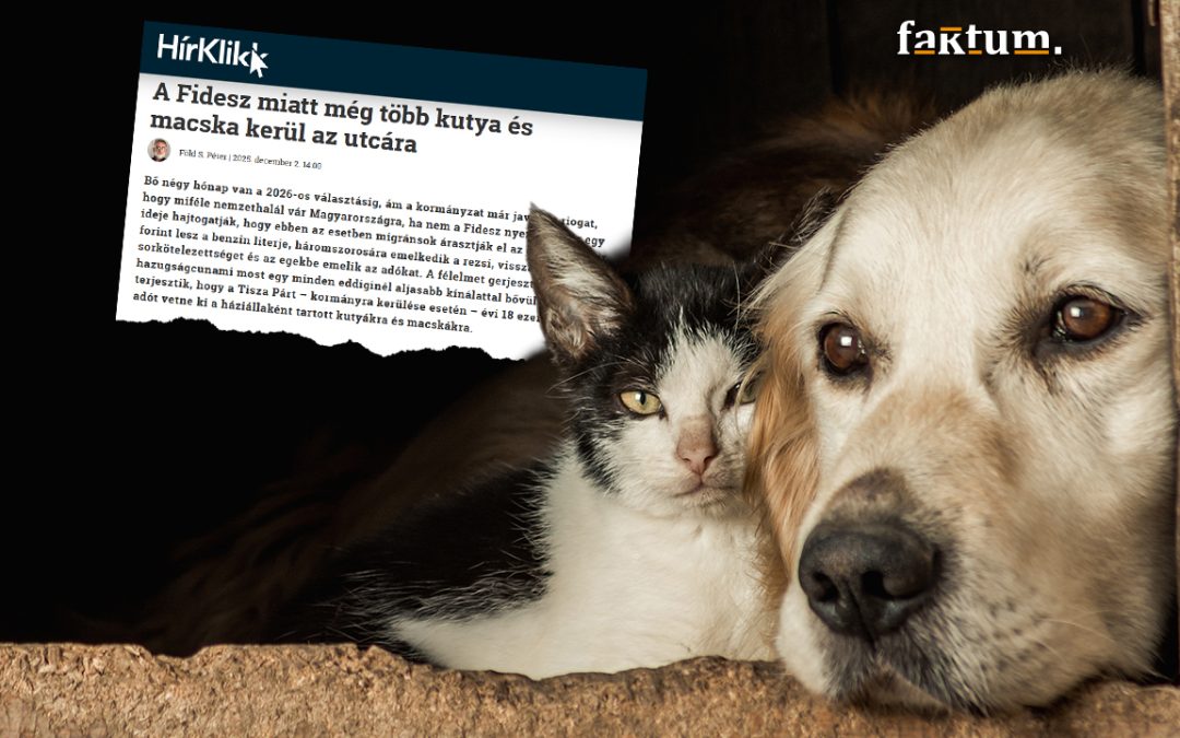 Erről is a Fidesz tehet – máris több kutya és macska kerül az utcára?